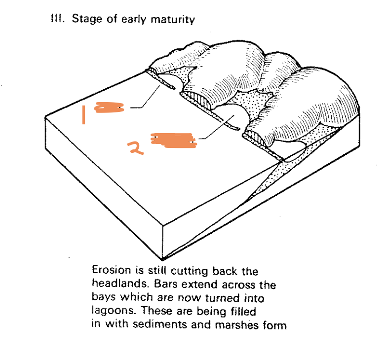 <p>What are features 1 and 2?</p>
