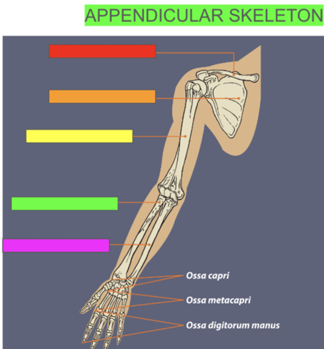 <p>what is the green box pointing to</p>