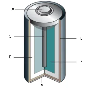 <p>What is the image below? Label it (1/6)</p>