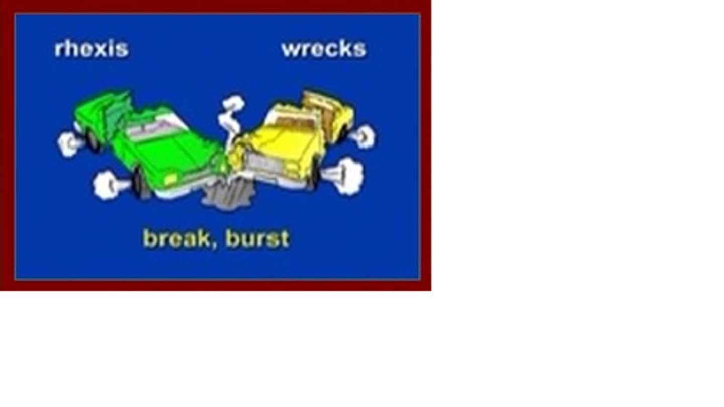 <p>break or burst</p>