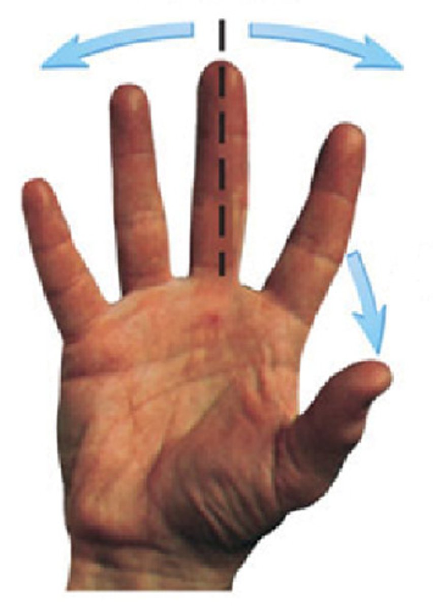 <p>identify the action</p>