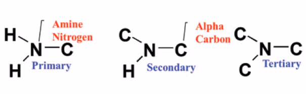 <p>to create a primary amine</p>