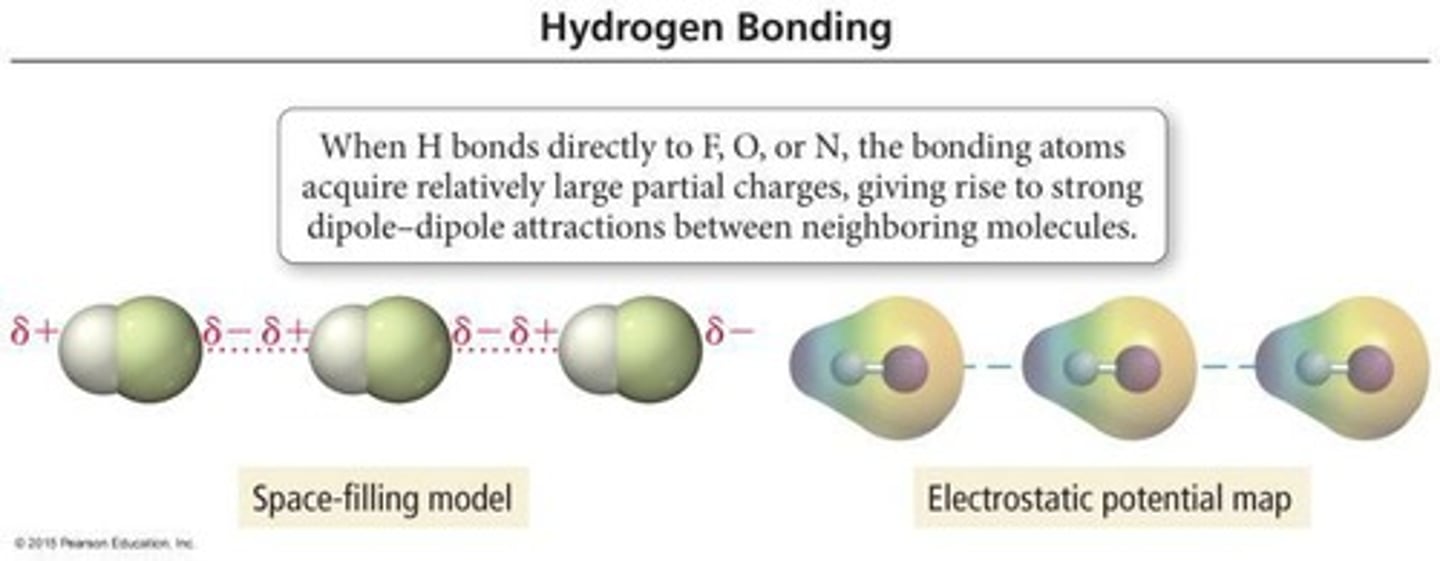 <p>Exceptionally strong dipole-dipole interactions that occur between N, O, or F and H.</p>