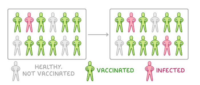 <p>occurs when a large proportion of a population are vaccinated against a disease which reduces the spread of the disease to unvaccinated individuals<span>.</span></p>