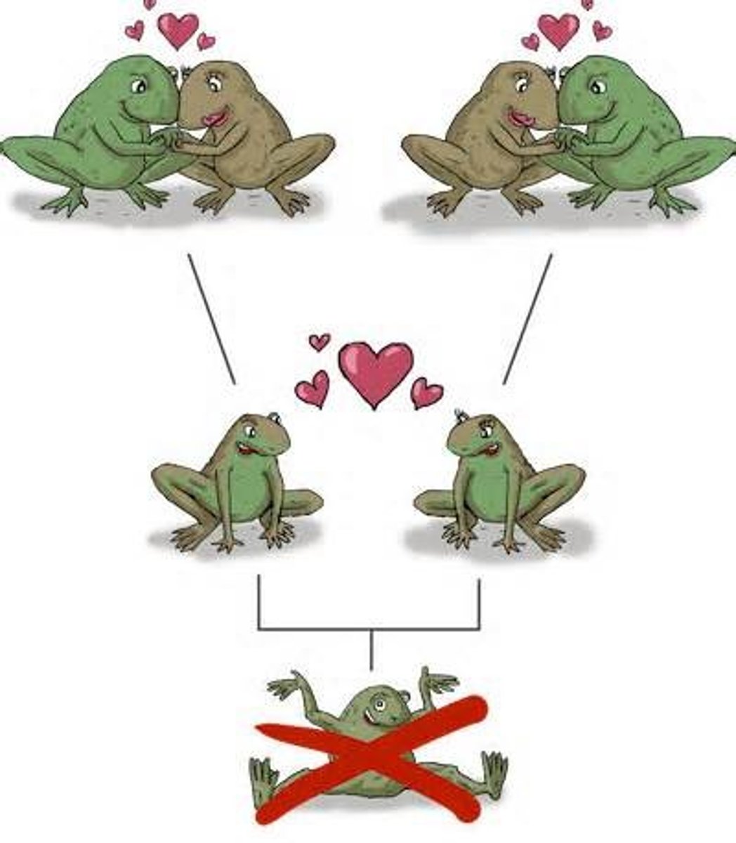 <p>A reproductive isolating mechanism where there is a decline in the fitness or viability of hybrid offspring in later generations (F2 and beyond) compared to the first generation (F1) hybrids.</p>