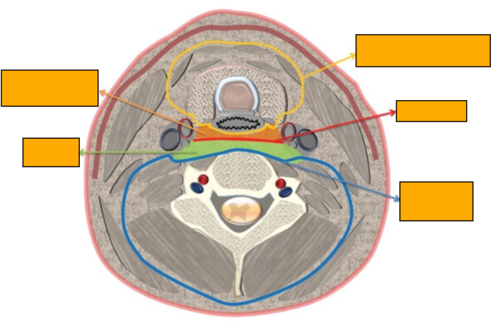 <p>Label clockwise </p>