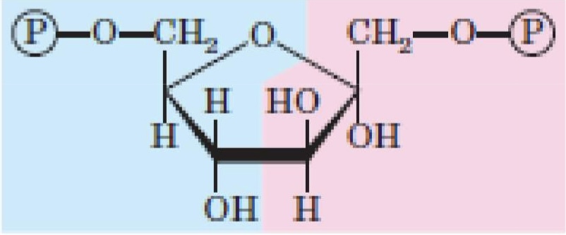 <p>What structure is this?</p>
