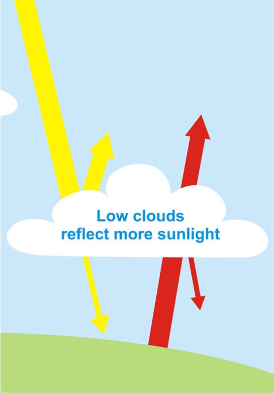 <p>True - Thick low clouds are more light coloured and the clouds are more reflective of sunlight, thereby cooling the earth.</p><p></p>