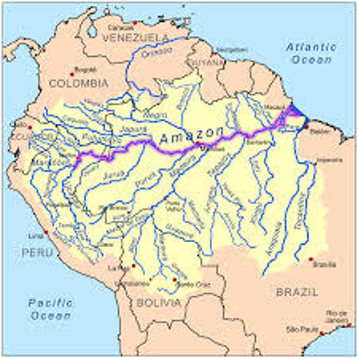 <p>- The discharge of the river amazon accounts for 15% of all freshwaters entering the oceans each day<br><br>- The Rio Negro = the 2nd largest river in the world in terms of water flow (14km wide)<br><br>- Average precipitation across the Amazon basin is approx. 2300mm annually<br>... in some northern areas which experience more rainfall, can exceed 6000mm<br><br>- Up to 50% of this rain may never reach the ground as it is intercepted and evaporated<br><br>- Of this water that is evapotranspired by vegetation about 50% falls again as rain<br><br>- Only about 30% of the rainfall ever reaches the sea and the rest is caught up in this closed system of water recycling</p>
