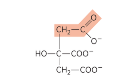  Dr. House is studying how to regulate the Citric Acid Cycle. What conditions will cause
the formation of this molecule and with which enzyme?

a. Low NADH, alpha-ketoglutarate dehydrogenase
b. High ATP, citrate synthase
c. Low ATP, citrate synthase
d. High succinyl-CoA, aconitase
e. None of the above
