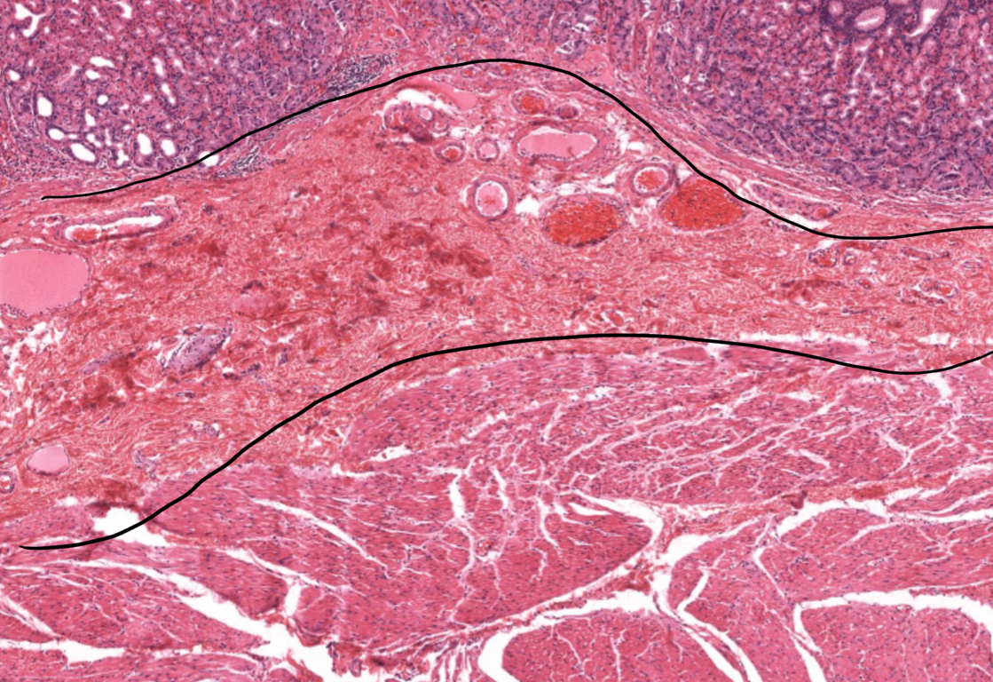 <p>What is this?</p>