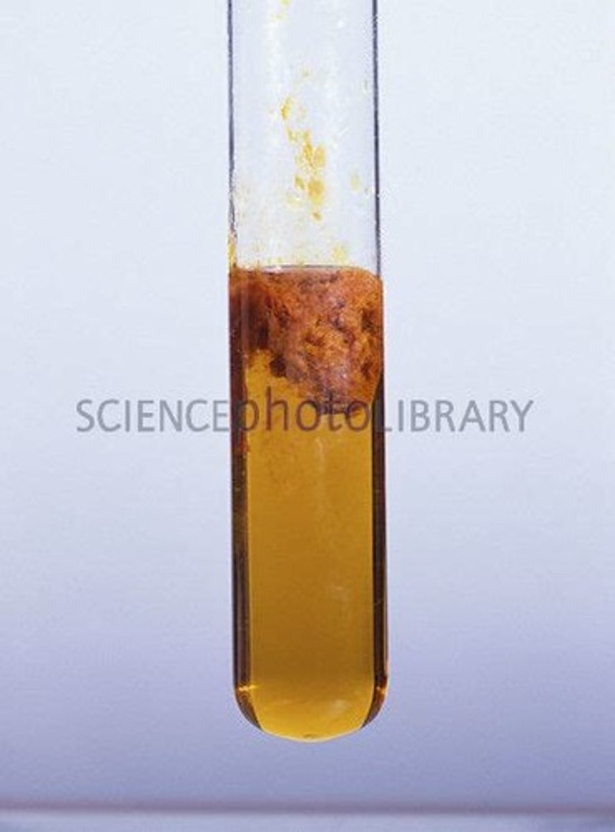 <p>Brown PPT (with NaOH)</p>