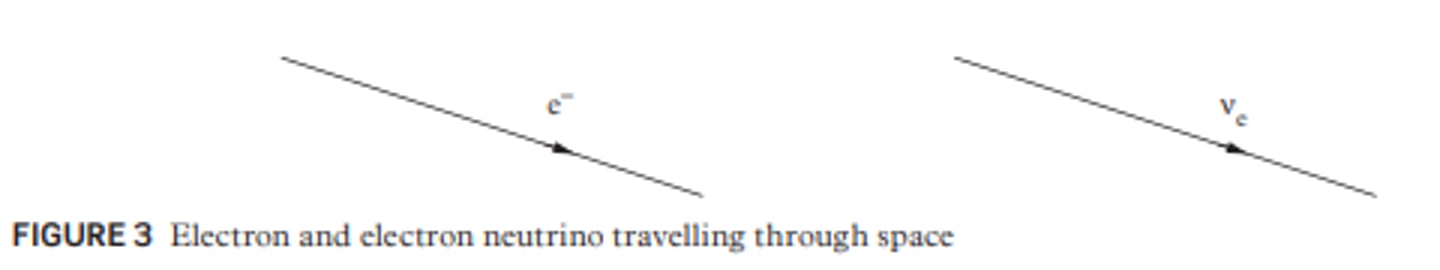 <p>Straight-line arrows in the direction of time, with the respective letter or character of the particle indicated.</p>