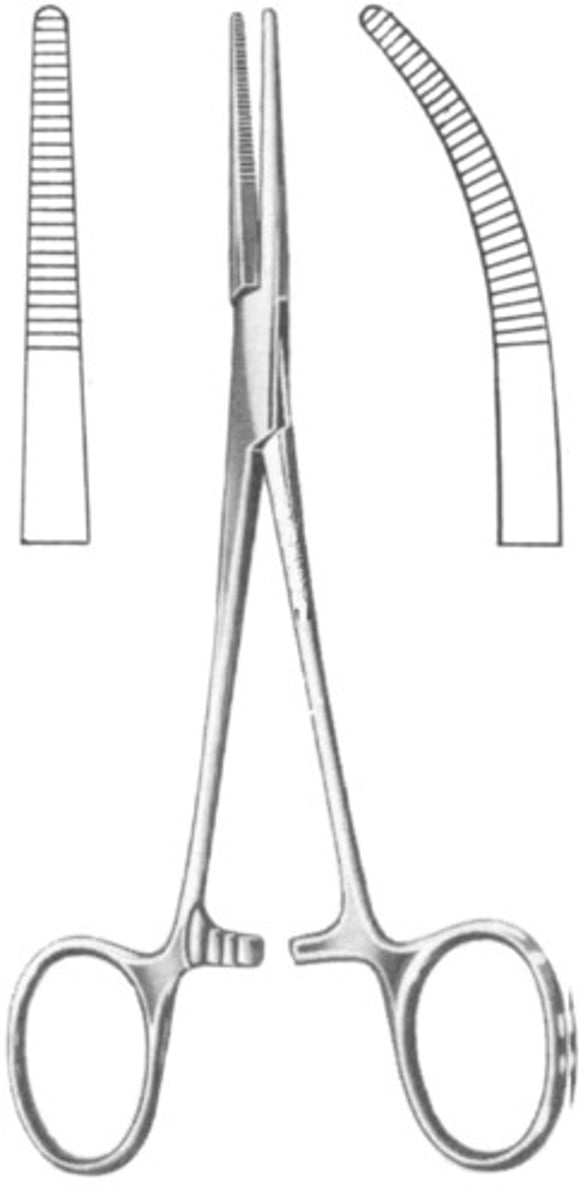 <p>Transverse serrations with one point straight and one point curved</p>