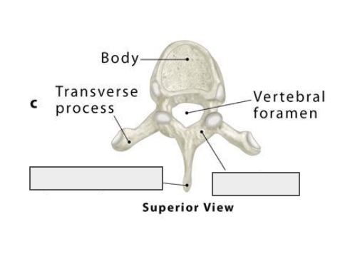 <p>Name the covered landmark</p>