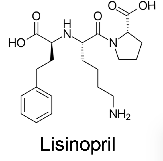 <p>What Transporters does this drug taken up?</p>