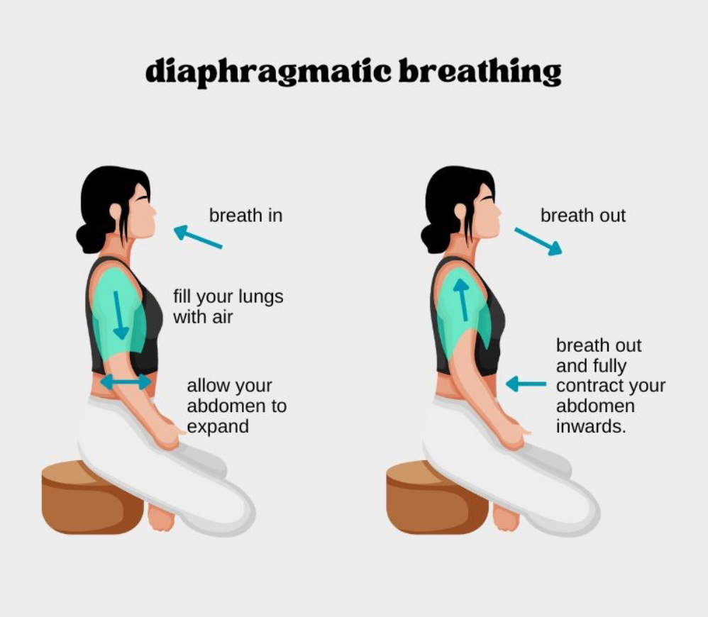 <ul><li><p>AKA abdominal breathing </p></li><li><p>Focuses on using the diaphragm to breathe</p></li><li><p><strong>Improving lung function</strong></p><ul><li><p>Obstructive and restrictive disorders</p></li><li><p>Prevent post-op complications</p><ul><li><p>Atelectasis</p></li><li><p>Pneumonia</p></li><li><p>Hypoxemia</p></li></ul></li><li><p>Reducing anxiety and stress</p></li></ul></li></ul><p></p>