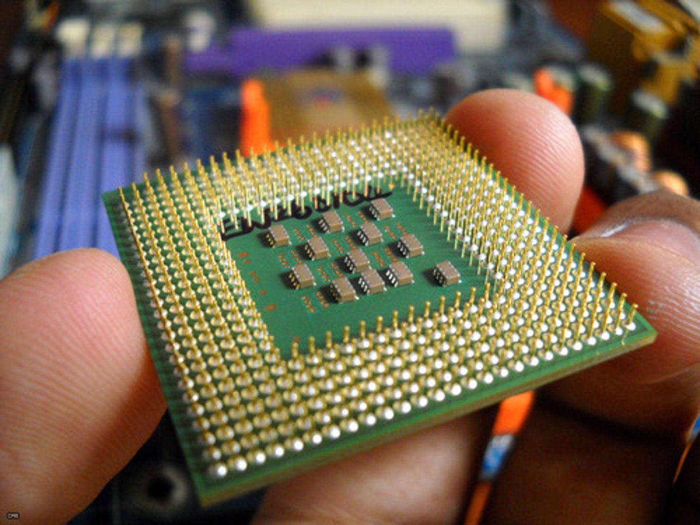<p>A feature of a CPU socket whereby the pins are aligned in uniform rows around the socket.</p>