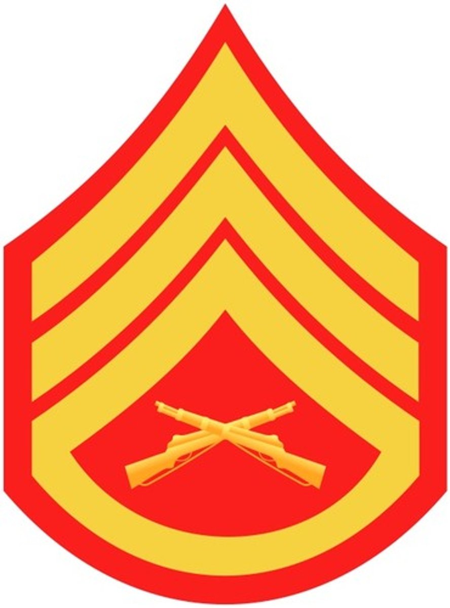 <p> 3 Chevrons with 1 rocker and crossed rifles in the center</p>