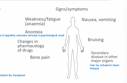 <ul><li><p>weakness/fatigue (anaemia)</p></li><li><p>Anorexia (loss of appetite)</p></li><li><p>nausea/vomiting</p></li><li><p>Bruising</p></li><li><p>Bone pain</p></li><li><p><strong>Secondary disease in other major organs </strong>- liver and IHD</p></li></ul><p></p>