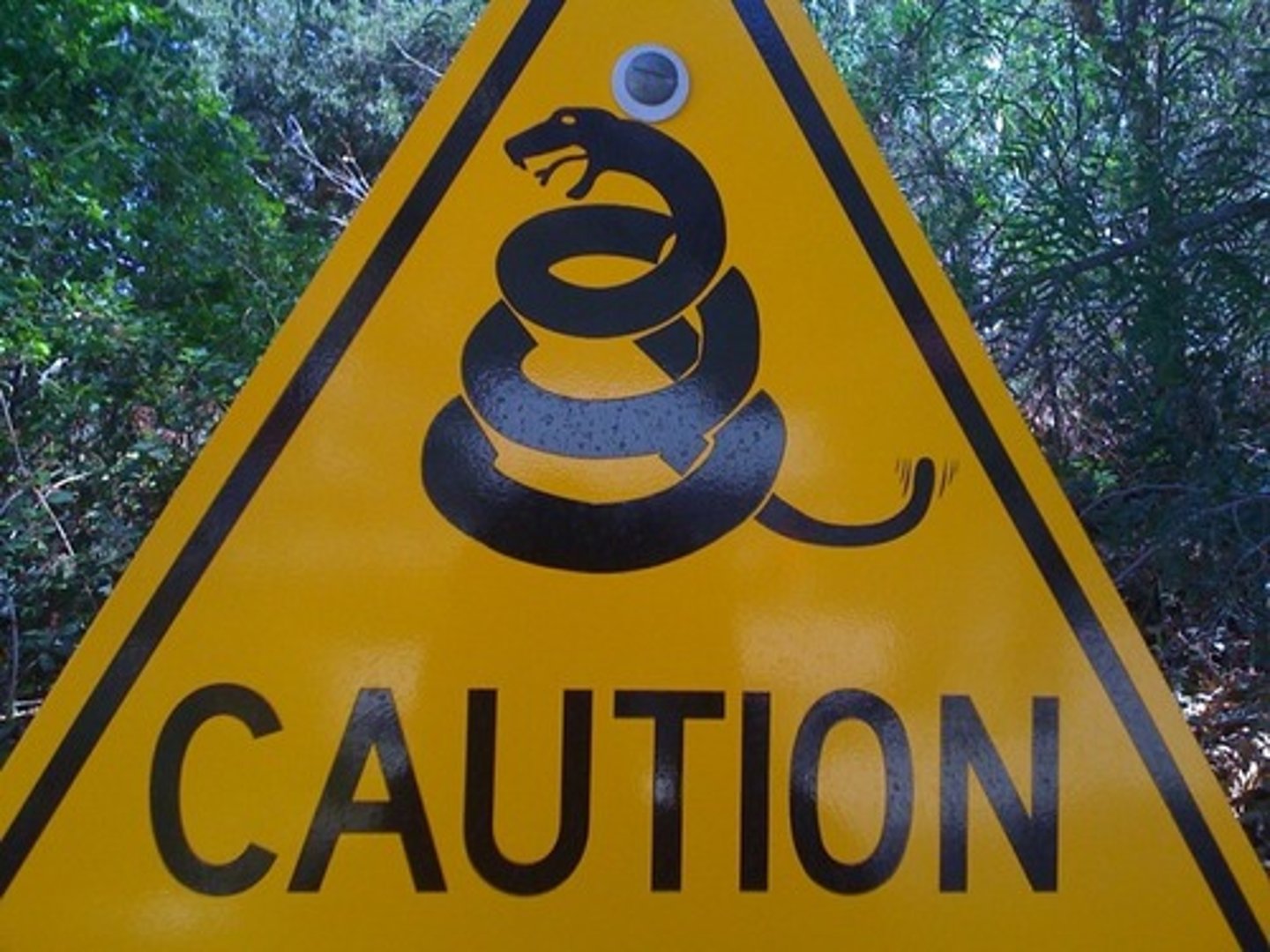 <p>Synonyms: (v.) listen to, attend</p><p>Antonyms: (v.) ignore, disregard</p>