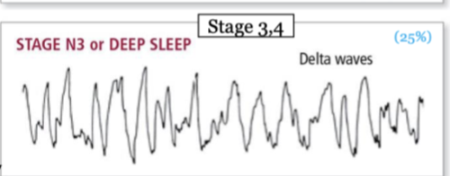 stage 3 and 4 sleep; AKA "deep sleep or slow-wave sleep"; heart rate and respiration slow dramatically; consolidation of memories and sleep walking occur during this stage; waves are low frequency high amplitude 