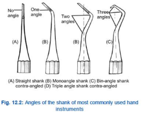 <p>Shank</p>