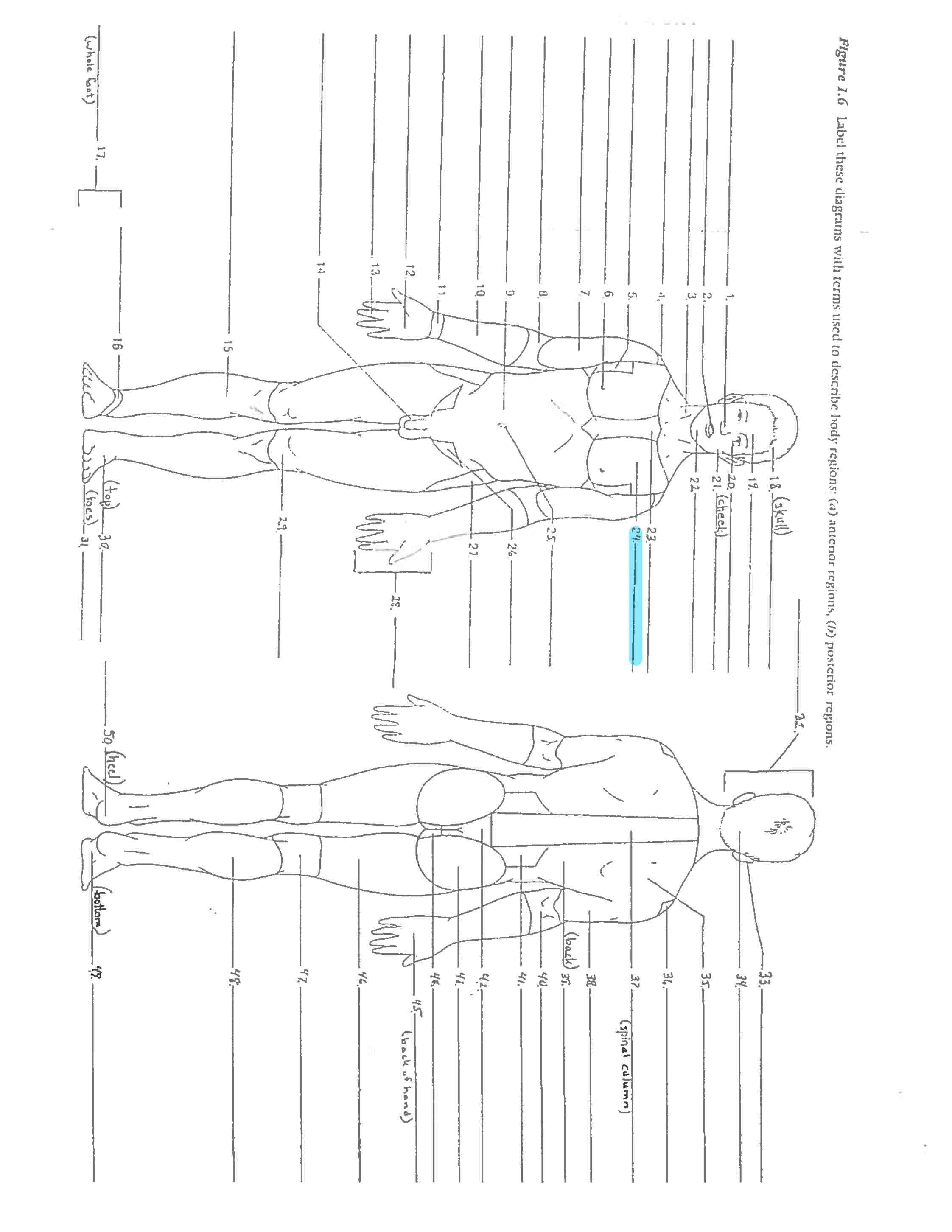 <p>Line 24 </p>
