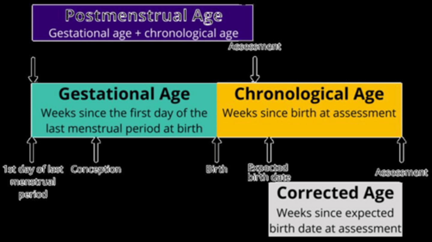 <p>- Gestational age + Chronological age</p>