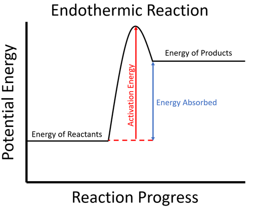<p>Dehydration synthesis reactions; endergonic</p>