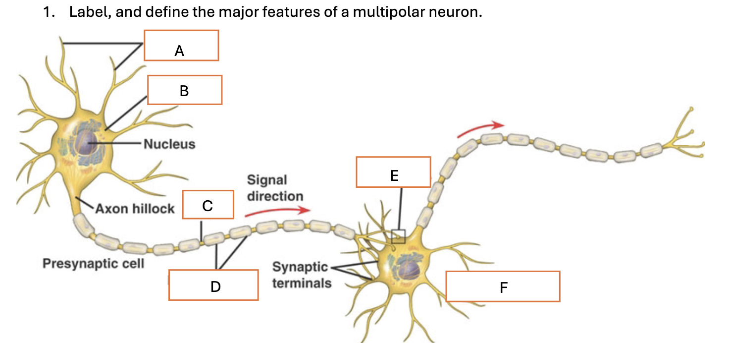 <p>label and define D </p>