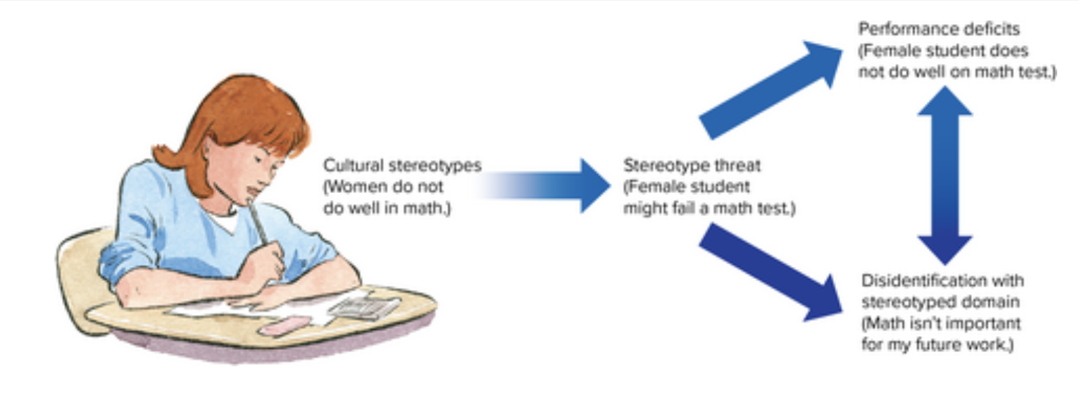 <p>When people are faced with stereotype threat, they may fulfill it, due to the added pressure of not fulfilling it hindering their performance.</p><p></p><p>However, they may also just dissociate from the stereotyped domain in order to avoid the impact of failing and maintain their self-esteem.</p><p></p><p>Therefore, stereotype threat can lead to stress, self-monitoring and the suppression of unwanted thoughts and emotions. </p>