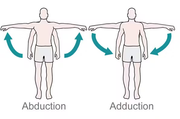 <p><span>Movement toward the midline of the body.</span></p>