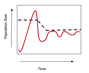 <p>Limiting factors that affect the size of any population, no matter what density of individuals live in an area.</p>