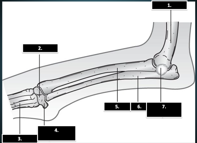 <p>what is 5</p>