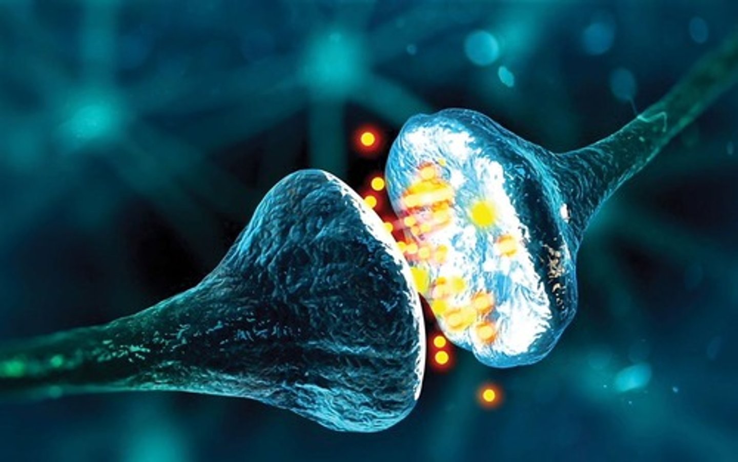 <p>Chemicals (such as dopamine, endorphins, and serotonin) contained in terminal buttons that enable neurons to communicate and effect our mood, memory, sleep, alertness, pain, and all sorts of psychological processes</p><p>THESE travel through the synapse (the gap between two neurons) and then fit into receptor sites on the dendrites of neurons like a key fits into a lock</p>
