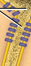 <p>Tiny gab between synaptic knob and sarcolemma</p>