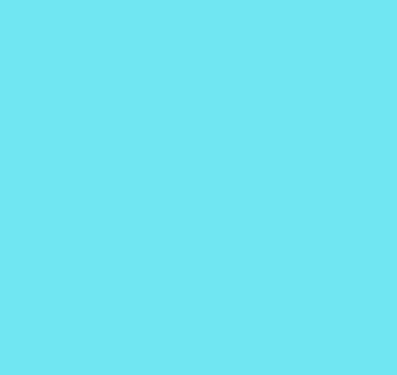 <p>Sky blue color</p>