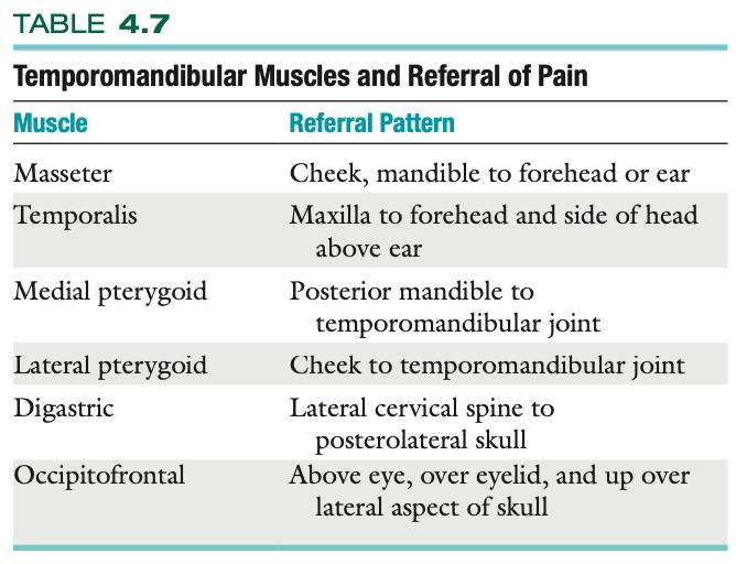 <p><strong>Temporomandibular Muscles and Referral of Pain</strong></p><p>Pain may be referred from the TMJ to the teeth, neck, or head, and vice versa</p>