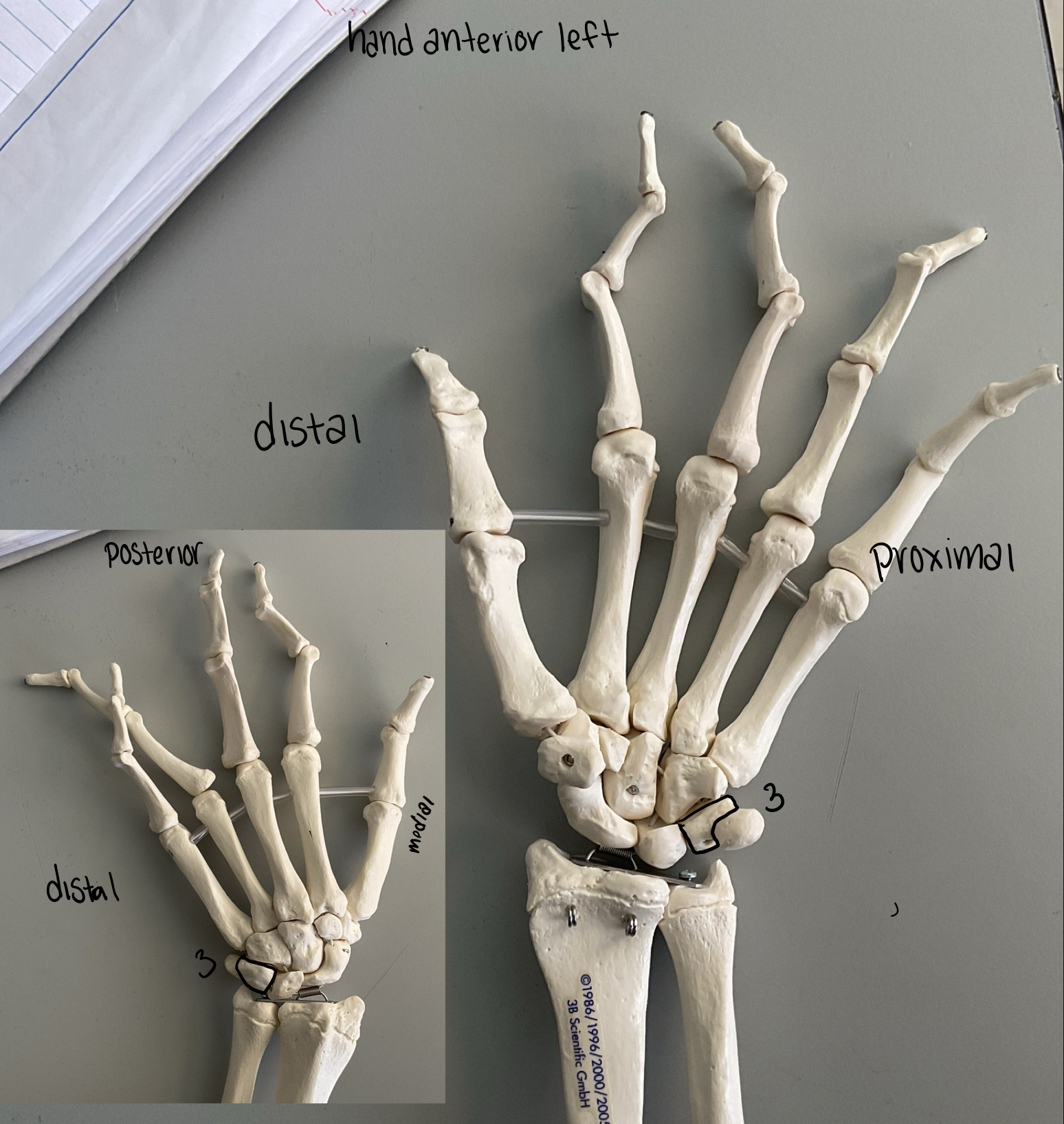 <p>3</p>
