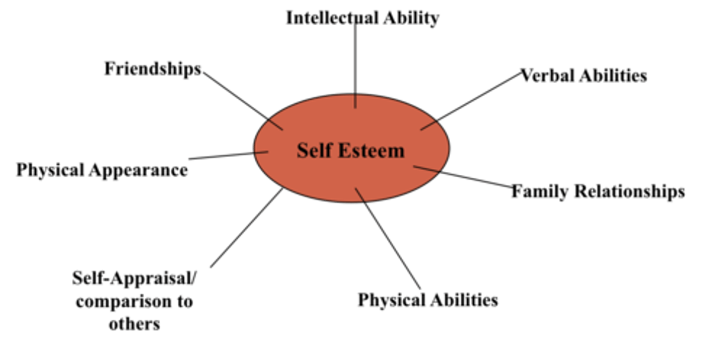 <p>The measure of how we feel about ourselves.</p>