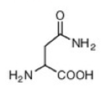 <p>Asparagine (N)</p>
