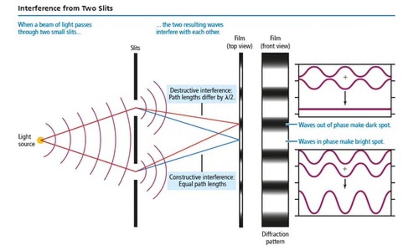<p>Two interfering waves that create an interference pattern.</p>