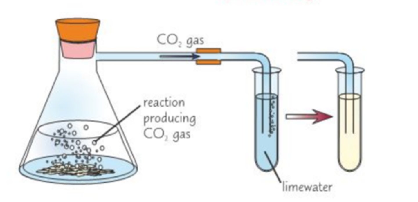 <p>1) Add dilute HCl to SOLID CO2-3<br>2) look for fizzing<br>3) If sample fizzes, repeat test but use delivery tube to bubble through limewater<br><br>The limewater should go cloudy</p>