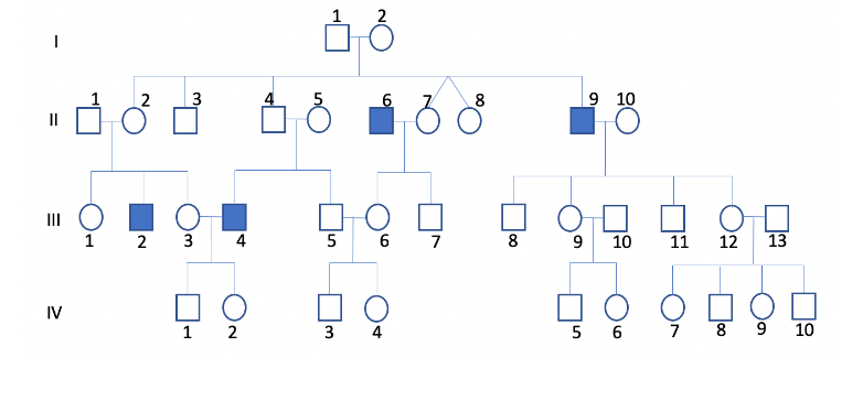 <p><span>The following pedigree is for an X-linked recessive disorder.&nbsp; If individual IV-2 marries IV-3, what is the probability that their first child will be colorblind?</span></p>