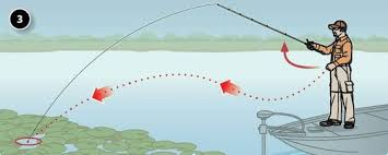 <ul><li><p><strong>cast a stone</strong></p></li><li><p><strong>cast a net</strong></p></li><li><p><strong>cast a line</strong> (fishing)</p></li><li><p><strong>cast a glance</strong> (figurative “throw a look”)</p></li><li><p><strong>cast doubt</strong> (figurative “throw doubt onto something”)</p></li><li><p><strong>cast aspersions </strong>(criticise someone harshly)</p></li><li><p><strong>cast a light</strong></p></li><li><p><strong>cast a shadow</strong></p></li><li><p><strong>cast suspicion</strong></p></li><li><p><strong>cast a / your vote </strong></p></li><li><p><strong>cast a spell</strong></p></li></ul><p></p>