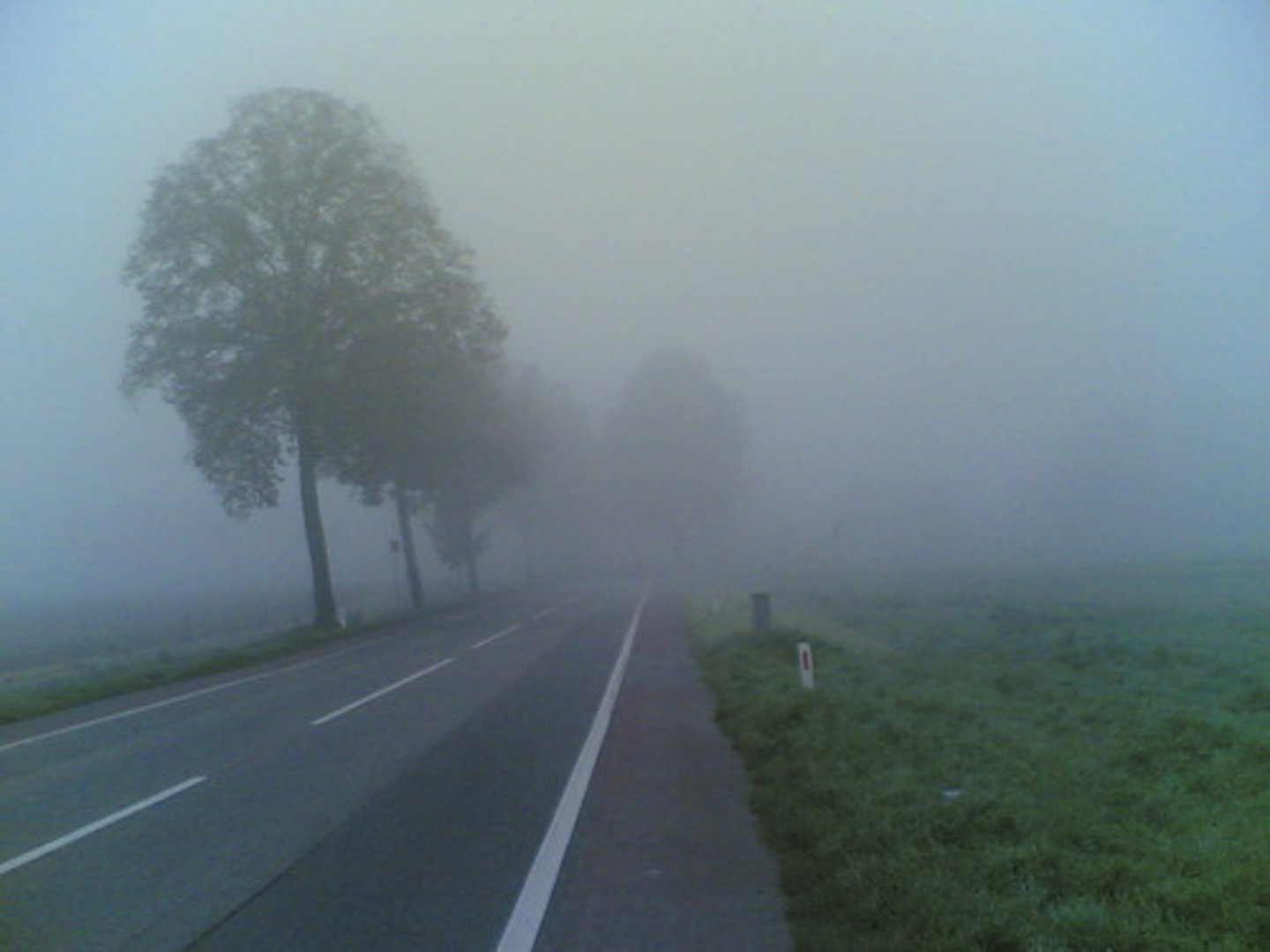 <p>der Nebel</p>