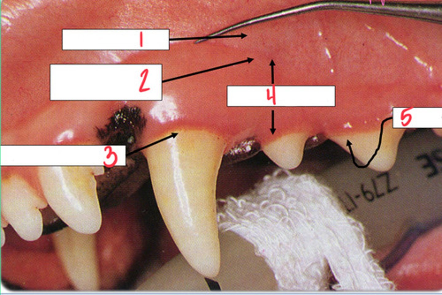 <p>What is 1?</p>