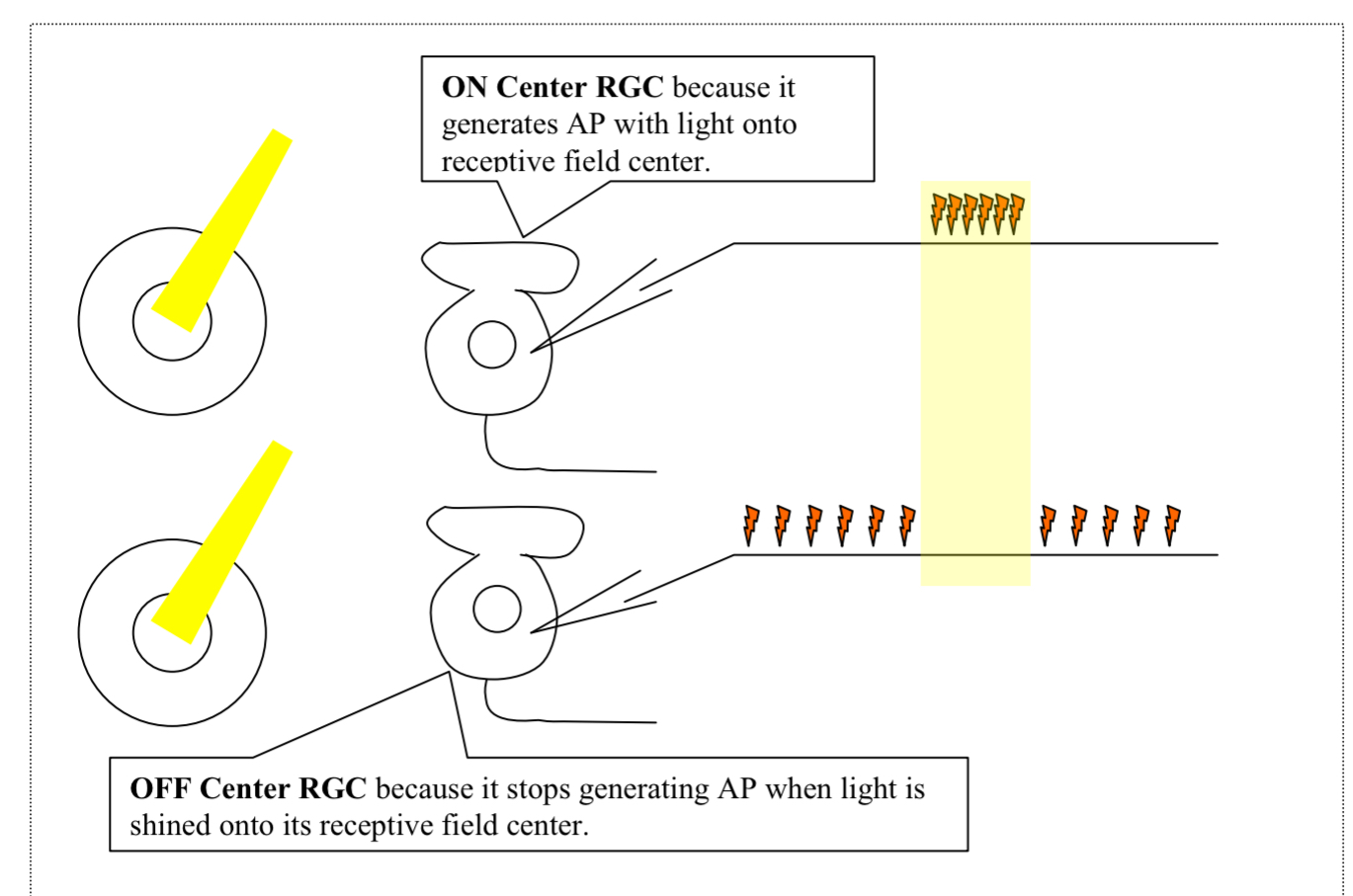 <p>What does this diagram depict ?</p>