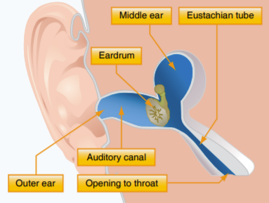 <p><span>Difference in the pressure of the outside air the body and inside the middle ear/nasal sinuses</span></p>